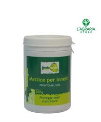 MASTICE PER INNESTI 200g